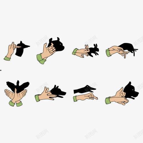 影子个人资料,揭秘神秘人物的隐秘人生