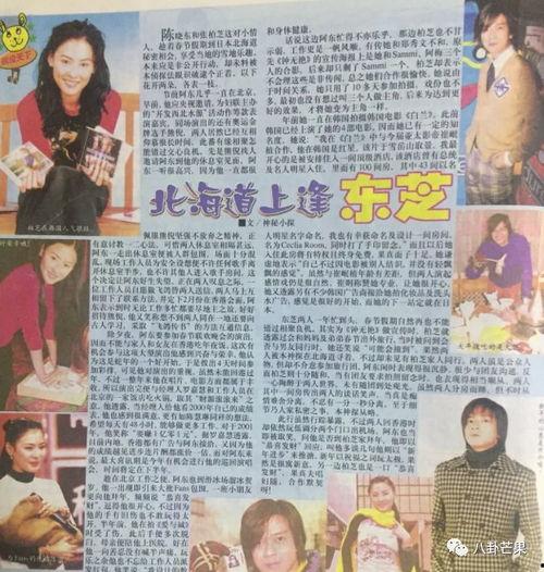 娱乐圈吃瓜的书