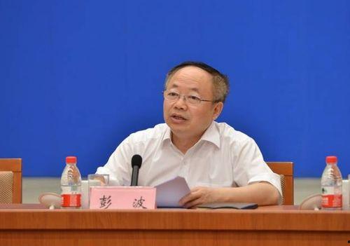 南县彭波个人资料,探寻彭波的个人魅力与成就之路